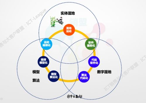 企業(yè)的數(shù)字化轉型 數(shù)據(jù)、算法、互聯(lián)網服務與工業(yè)互聯(lián)網數(shù)據(jù)服務的核心探討